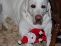 Ben & Santa. If Santa did not make it to your house, this may be why!