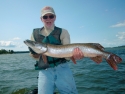 Wally K 37" Pike