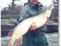 muskyfishing02