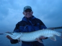 Nice Muskie!