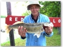 walleye1