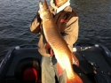 canada-2011-muskie-pisc-013