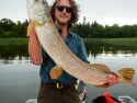 Big northern